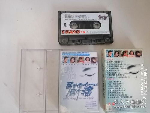 通讯音像制品收藏与复制 杂项中的时代回响